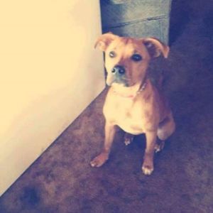 Meet your Posher, Austin